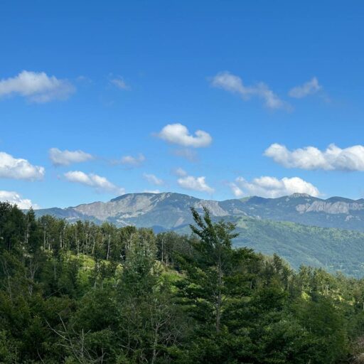 GT Conseil Informatique